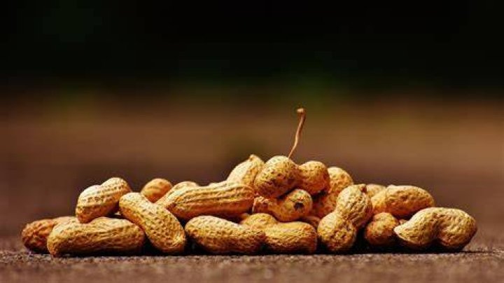 How long will peanut brittle last