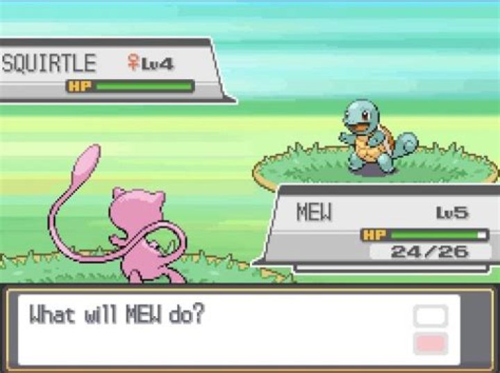 How to do a randomizer nuzlocke