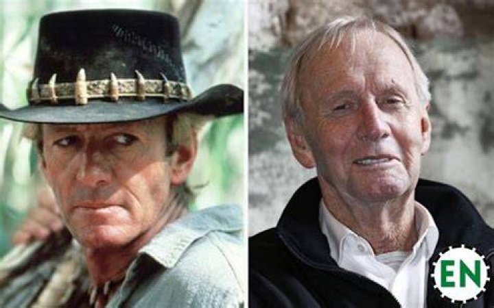 Paul Hogan Net Worth, Wiki, Bio, Age, Parents, Wife & More