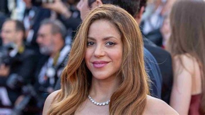 Shakira Biography; Net Worth, Age, Height, Songs, Family And Husband