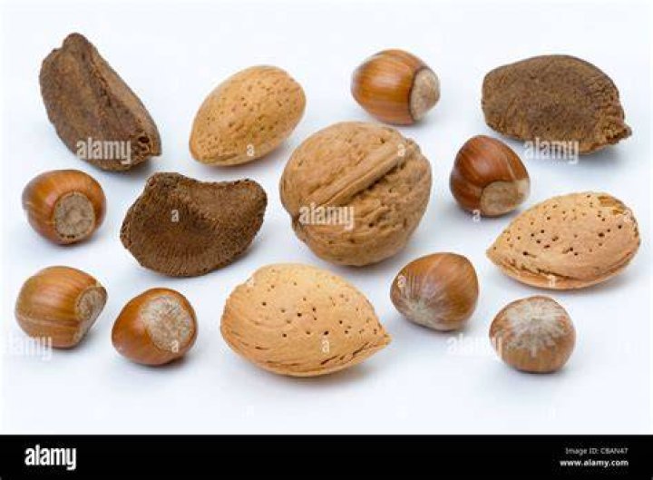 Types of nuts in shells