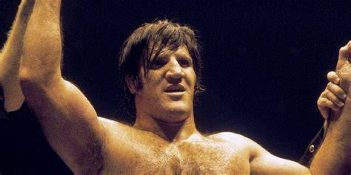 What is Bruno Sammartino Net Worth? Wiki, Dead, Wrestling, Age, Workout, Son, Now