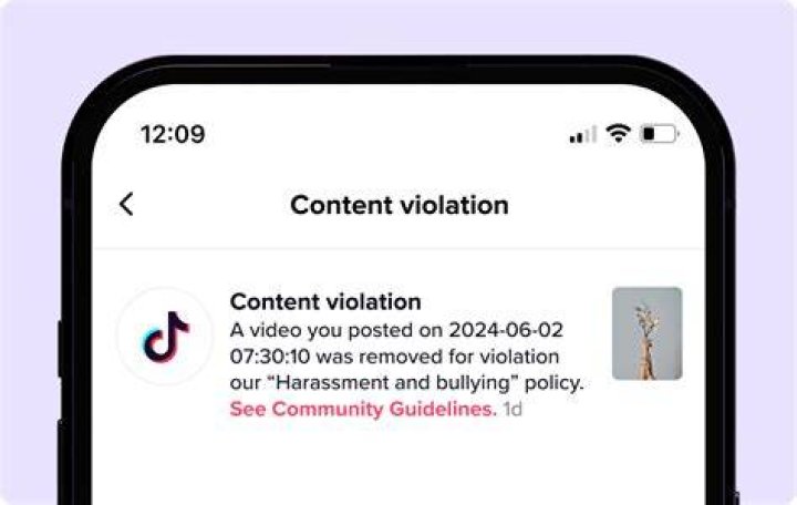 Who Are The Ride Along Crew? TikTok Content Violation Tour Drama