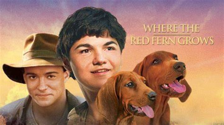 Who Is Tom Durant Pritchard From Rain Dogs? Wikipedia And Net Worth